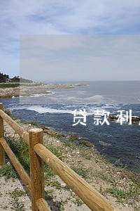贷款利息加逾期罚金超过6 贷款利息加逾期罚金超过6