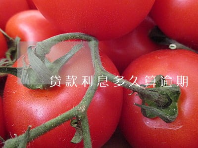 贷款利息多久算逾期 贷款利息多久算逾期