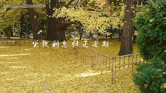 贷款利息归还逾期 贷款利息归还逾期