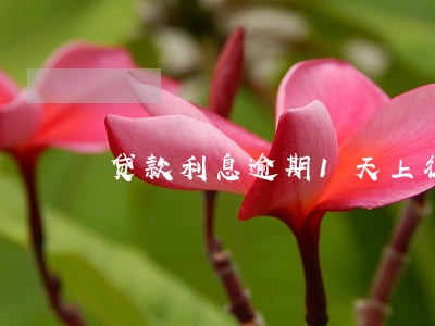 贷款利息逾期1天上征信不 贷款利息逾期1天上征信不