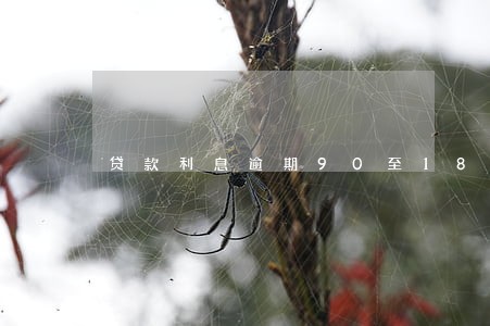 贷款利息逾期90至180天 贷款利息逾期90至180天