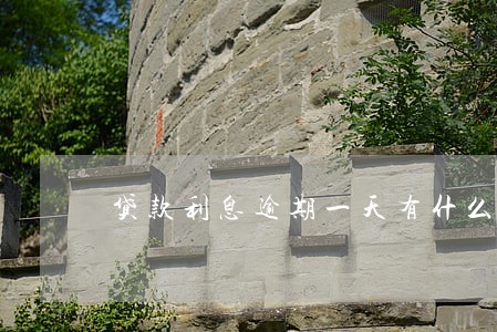 贷款利息逾期一天有什么影响 贷款利息逾期一天有什么影响