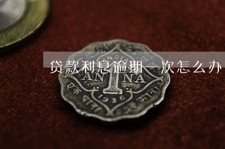 贷款利息逾期一次怎么办