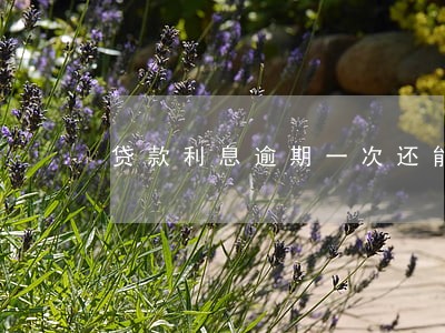 贷款利息逾期一次还能贷款吗 贷款利息逾期一次还能贷款吗