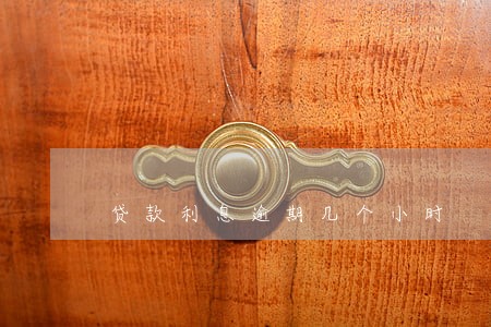 贷款利息逾期几个小时 贷款利息逾期几个小时