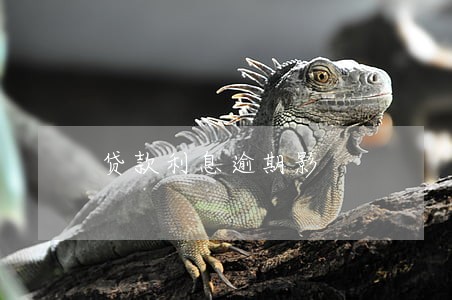 贷款利息逾期影 贷款利息逾期影