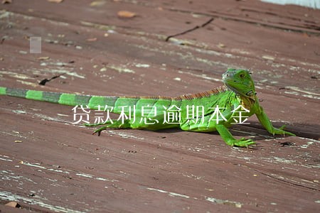 贷款利息逾期本金