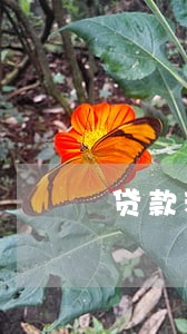 贷款利息逾期短信通知 贷款利息逾期短信通知