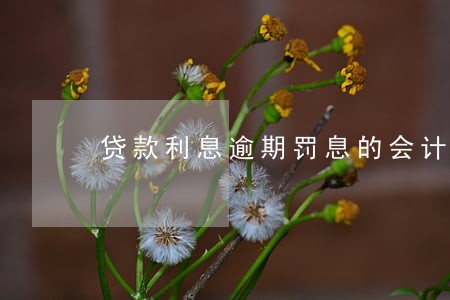 贷款利息逾期罚息的会计处理 贷款利息逾期罚息的会计处理