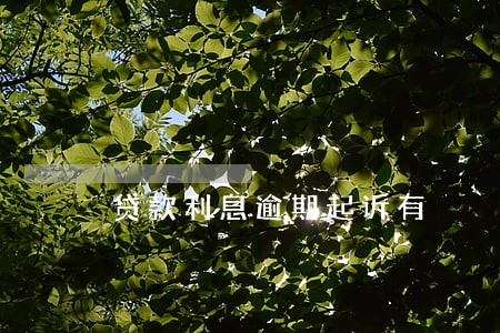 贷款利息逾期起诉有 贷款利息逾期起诉有