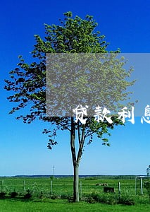 贷款利息逾期还款会上征信吗 贷款利息逾期还款会上征信吗