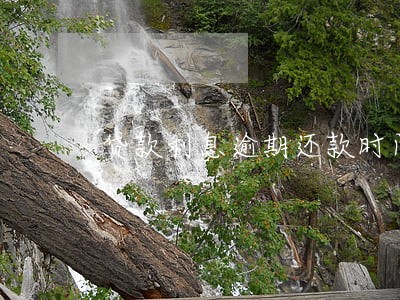 贷款利息逾期还款时间 贷款利息逾期还款时间