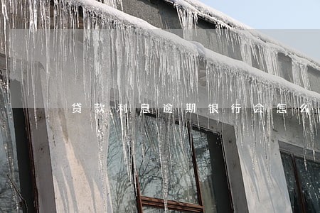 贷款利息逾期银行会怎么办