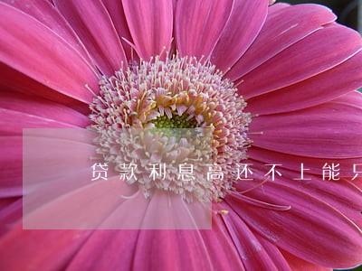 贷款利息高还不上能只还本金吗 贷款利息高还不上能只还本金吗