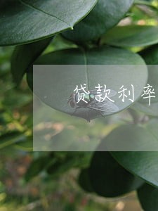 贷款利率和逾期贷款利率 贷款利率和逾期贷款利率