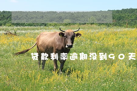 贷款利率逾期没到90天 贷款利率逾期没到90天