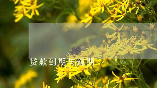 贷款到期与逾期