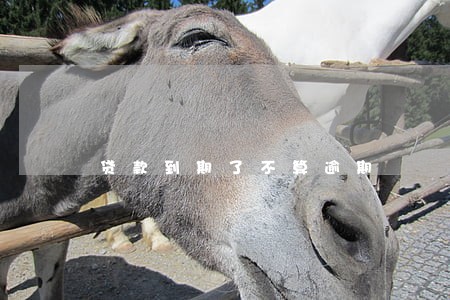 贷款到期了不算逾期 贷款到期了不算逾期