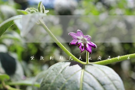 贷款到期几天之内还不算逾期 贷款到期几天之内还不算逾期