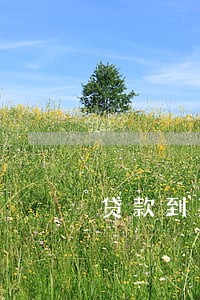 贷款到期几天算逾期吗
