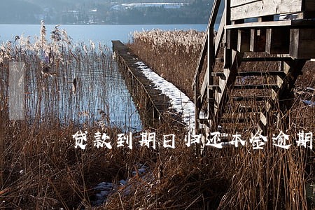贷款到期日归还本金逾期 贷款到期日归还本金逾期