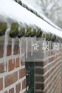 贷款到期日是逾期 贷款到期日是逾期