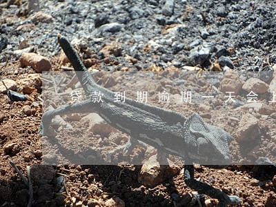 贷款到期逾期一天会上征信吗 贷款到期逾期一天会上征信吗