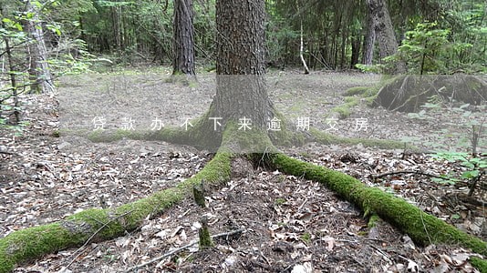 贷款办不下来逾期交房 贷款办不下来逾期交房