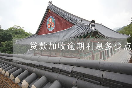 贷款加收逾期利息多少点 贷款加收逾期利息多少点