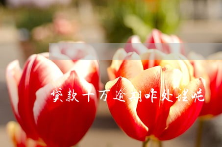 贷款十万逾期咋处理呢 贷款十万逾期咋处理呢