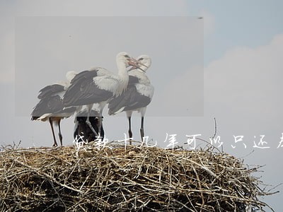 贷款十几年可以只还本金吗 贷款十几年可以只还本金吗