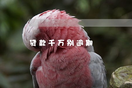贷款千万别逾期 贷款千万别逾期