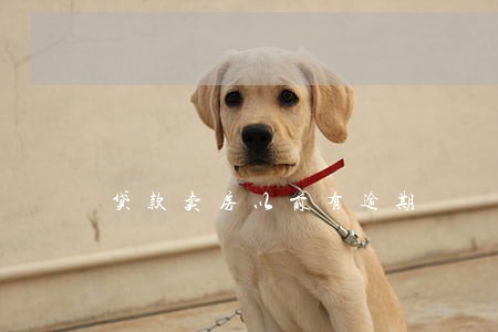 贷款卖房以前有逾期 贷款卖房以前有逾期