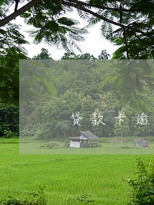 贷款卡逾期7次门借款吗 贷款卡逾期7次门借款吗