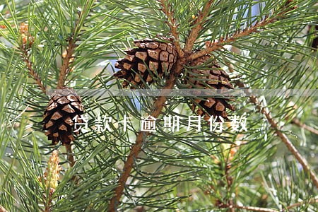 贷款卡逾期月份数 贷款卡逾期月份数