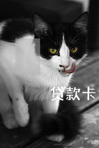 贷款卡逾期还能再贷吗 贷款卡逾期还能再贷吗