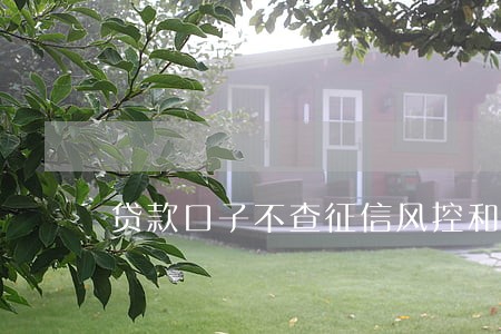 贷款口子不查征信风控和逾期 贷款口子不查征信风控和逾期