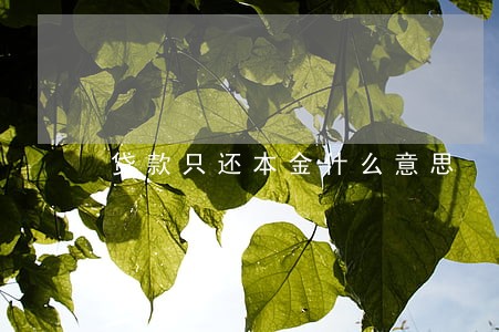 贷款只还本金什么意思 贷款只还本金什么意思