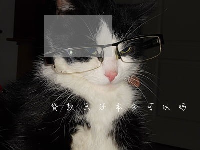 贷款只还本金可以吗