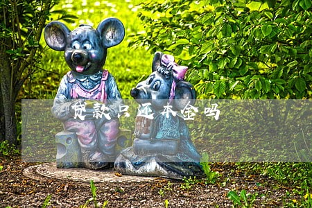 贷款只还本金吗 贷款只还本金吗
