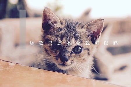 贷款只还本金就可以吗 贷款只还本金就可以吗