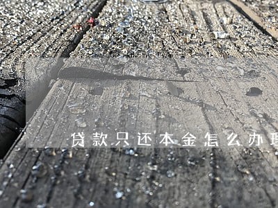 贷款只还本金怎么办理 贷款只还本金怎么办理