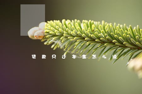 贷款只还本金怎么说 贷款只还本金怎么说