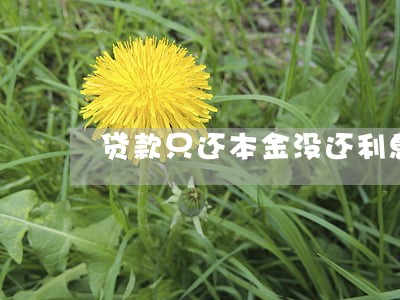 贷款只还本金没还利息