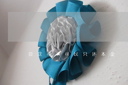 贷款可不可以只还本金 贷款可不可以只还本金