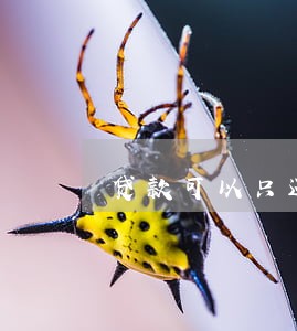 贷款可以只还本金不还利息吗 贷款可以只还本金不还利息吗