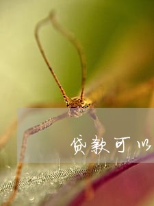 贷款可以消除逾期吗