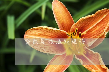 贷款司法通知短信 贷款司法通知短信