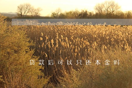 贷款后可以只还本金吗 贷款后可以只还本金吗