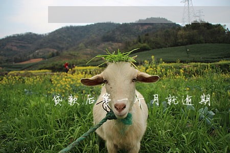 贷款后第一个月就逾期 贷款后第一个月就逾期